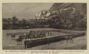 Het Vierentwintigste Regiment bij Isandlana, Presentatie van Nieuwe Kleuren aan het Tweede Bataljon door Lord Napier van Magdala in Gibraltar door Charles Edwin Fripp