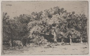 Een Hoek van het Bos van Fontainebleau door Charles Emile Jacque
