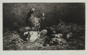 Kippen door Charles Emile Jacque