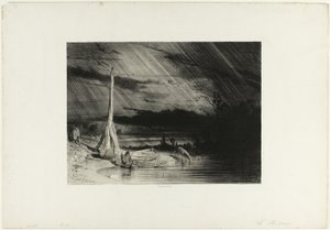 Visser