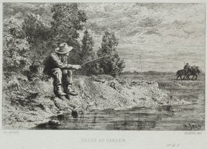 Vissen