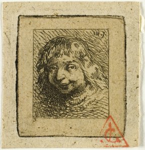 Hoofd van een Breton