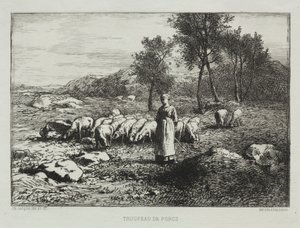 Kudde Varkens door Charles Emile Jacque