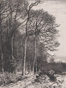 Bosrand, 1846