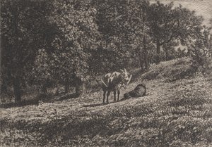 Boomgaard, 1865