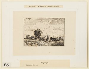 Landschap