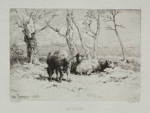 Schapen, 1868 door Charles Emile Jacque