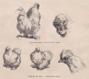 Zijdehaan en Zijdehen, uit Le Magasin Pittoresque, september 1861 door Charles Emile Jacque