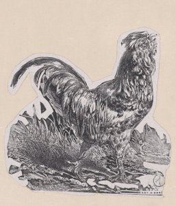 De Haan, ca. 1853 door Charles Emile Jacque