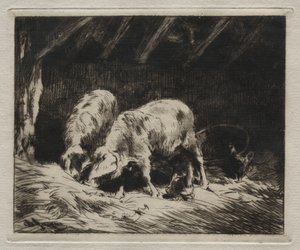 Twee Varkens door Charles Emile Jacque