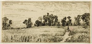 Tarweveld