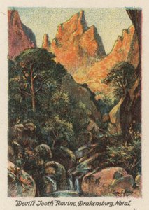 Zuid-Afrika: "Duivels Tand," Ravijn, Drakensbergen, Natal