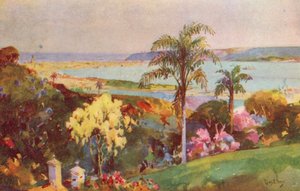 De haven van Natal, Durban (kleurenlitho)