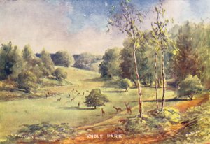 Knole House: Gland in het Park