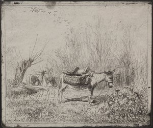 Een ezel in het veld, originele indruk 1862, gedrukt in 1921