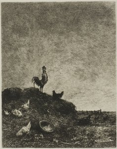 Dageraad (De kraai van de haan)