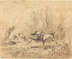 Ezel in een Veld