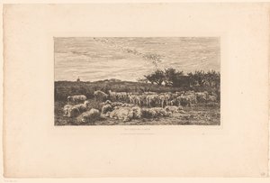 Landschap met kudde schapen