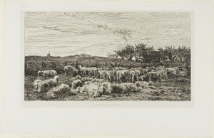 Weide met schapen door Charles Francois Daubigny