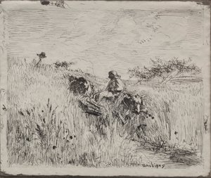 Pad Door het Graanveld