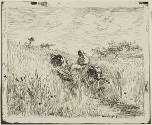 Pad door het tarweveld