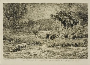 Varken in een Boomgaard