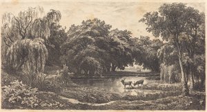 Vijver met Herten (La Mare aux cerfs) door Charles Francois Daubigny