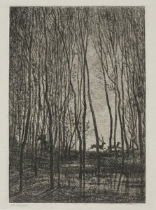 Herten in het Bos