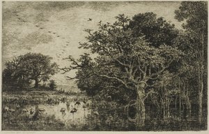 Het Moeras met Ooievaars door Charles Francois Daubigny
