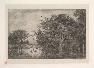 De moerassen door Charles Francois Daubigny
