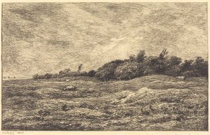 De weide bij Grave, nabij Villerville door Charles Francois Daubigny