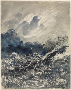 De eik en het riet, ca. 1873 door Charles Francois Daubigny