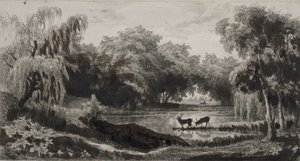 De vijver met herten door Charles Francois Daubigny