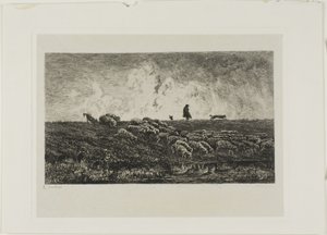 De Regenbui