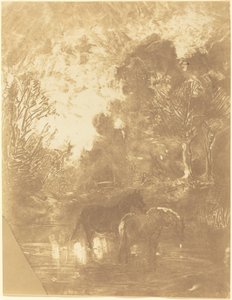 Twee paarden bij een drinkplaats door Charles Francois Daubigny
