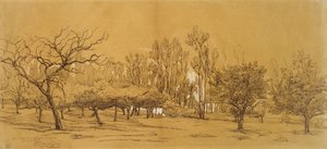 Uitzicht op een Boomgaard in Saint-Denis