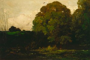 Een vijver in de Morvan