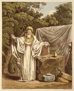 Een Aartsdruïde in zijn Gerechtelijke Gewaad, gegraveerd door Robert Havell (1769-1832) 1815