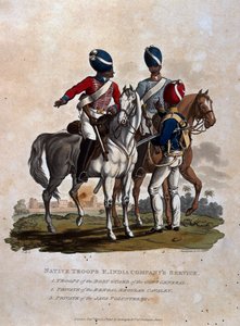 Inheemse Troepen, Dienst van de Oost-Indische Compagnie, Troepen van de Lijfwacht van de Gouverneur-Generaal, Soldaat van de Bengal Regular door Charles Hamilton Smith
