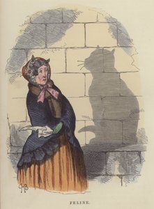 Feline (gekleurde gravure)