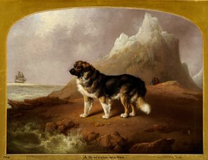 Een Newfoundland hond door Charles Henry Schwanfelder