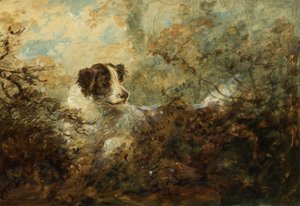 Hond door Charles Henry Schwanfelder