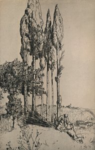 Cipressen bij Siena, 1903 door Charles Holroyd