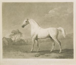Mambrino, naar George Stubbs, 1788 door Charles Howard Hodges