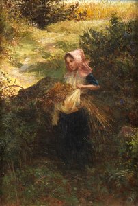 Vers van de Weide, 1863