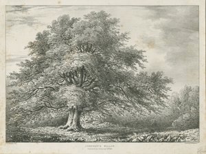 Lichfield - "Dr. Johnson