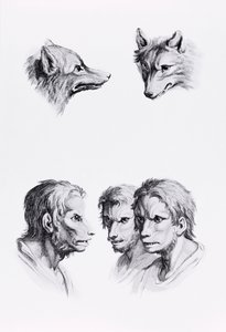 Overeenkomsten tussen het hoofd van een wolf en een man, uit 