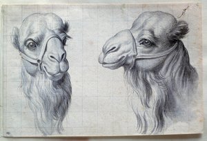 Studies van twee kameelkoppen door Charles Le Brun