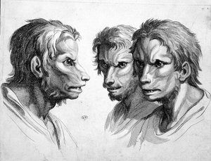 Drie gezichten van weerwolf - door Le Brun door Charles Le Brun