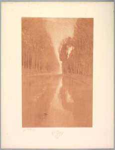 Suite de Landschappen: Landschap, Plaat 2, Remarque, Sterbloemen